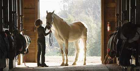 Life Can Be a Chukker-Lg