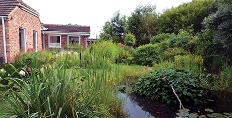 The Caddington Hedgehog Sanctuary-Large